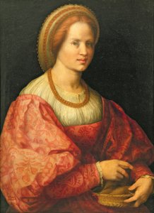 Muotokuva naisesta, jolla on karakori, n. 1514-17